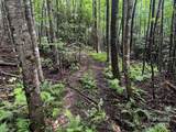 TBD Flat Springs Road - Photo 36