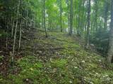 TBD Flat Springs Road - Photo 39