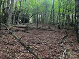 TBD Flat Springs Road - Photo 41