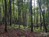TBD Flat Springs Road - Photo 42