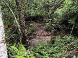 TBD Flat Springs Road - Photo 44