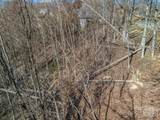 1509 Summit Hill Road - Photo 10