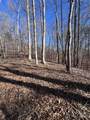 0 Cross Creek Drive - Photo 16