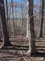 0 Cross Creek Drive - Photo 4