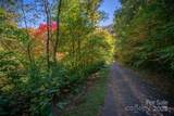 202 Nuthatch Lane - Photo 6