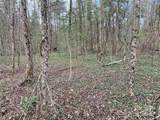 Lot 64 Peppervine Circle - Photo 2