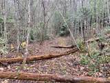 Lot 64 Peppervine Circle - Photo 4