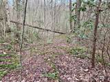 Lot 64 Peppervine Circle - Photo 8