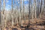 Lot F115 Leafy Knoll Circle - Photo 14