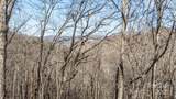 Lot F115 Leafy Knoll Circle - Photo 10