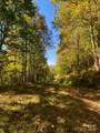 501 Warbler Lane - Photo 18