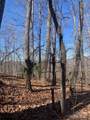 TBD Ashe Branch View - Photo 12