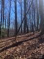 TBD Ashe Branch View - Photo 15