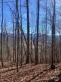 TBD Ashe Branch View - Photo 18