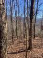 TBD Ashe Branch View - Photo 4