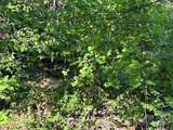 0 Arbra Mountain Way - Photo 3