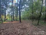 110 Serenity Creek Drive - Photo 13