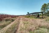 0 Carriage Road - Photo 10