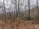 00 Bald Creek Road - Photo 4
