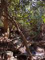 TBD Glen Ridge Trail - Photo 5