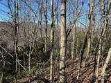 239 Fuji Falls Trail - Photo 4