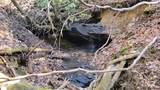 137 Moon Circle - Photo 4