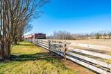6949 Old Shelby Road - Photo 43