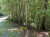 57 Big Branch Road - Photo 6