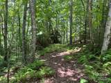 57 Big Branch Road - Photo 7