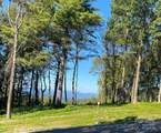 TBD East Garden Trail - Photo 3