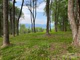 TBD East Garden Trail - Photo 5