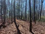 TBD Panther Ridge Road - Photo 2