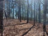 TBD Panther Ridge Road - Photo 4