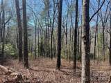 TBD Panther Ridge Road - Photo 5
