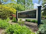 15 Elmwood Lane - Photo 43