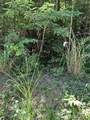 0 Pleasant Grove Church Road - Photo 3