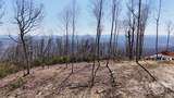 0000 East Garden Trail - Photo 6