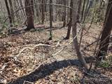 Lot 57 Banjo Court - Photo 6