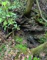 TBD Still Branch Road - Photo 25