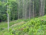 000 Pumpkin Patch Road - Photo 17