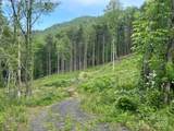 000 Pumpkin Patch Road - Photo 18