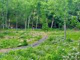 000 Pumpkin Patch Road - Photo 32
