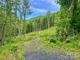 000 Pumpkin Patch Road - Photo 36