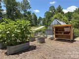 Lot 50 Mountain Grove Lane - Photo 25