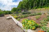 Lot 50 Mountain Grove Lane - Photo 29