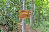 Lot 50 Mountain Grove Lane - Photo 34