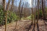 Lot 50 Bearwallow Ridge Trail - Photo 11