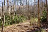 Lot 50 Bearwallow Ridge Trail - Photo 12