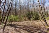 Lot 50 Bearwallow Ridge Trail - Photo 13
