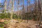 Lot 50 Bearwallow Ridge Trail - Photo 14
